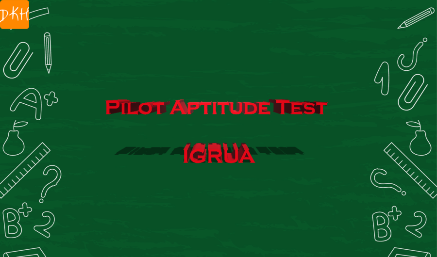 Wombat Pilot Aptitude Test